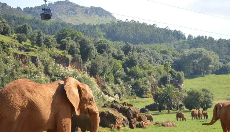 Parque de la Naturaleza de Cab&aacute;rceno, dependiente de Cantur.