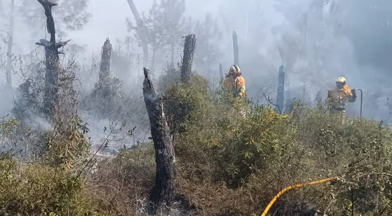 Incendio en los pinares de Liencres.
