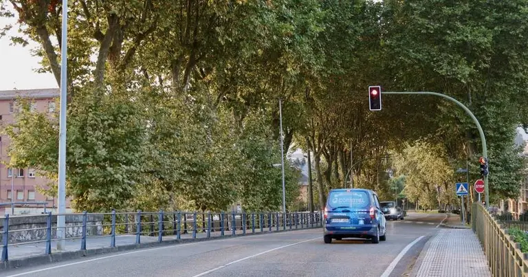 La plaga del tigre afecta al arbolado.