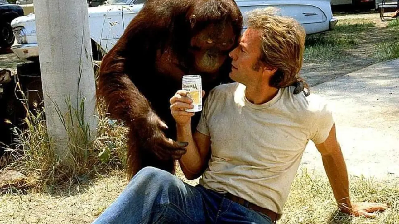 El actor y director Clint