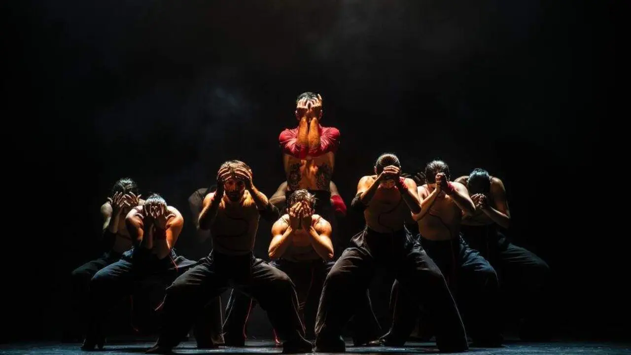 La danza estar&aacute; presente en el Palacio de Festivales de Cantabria.