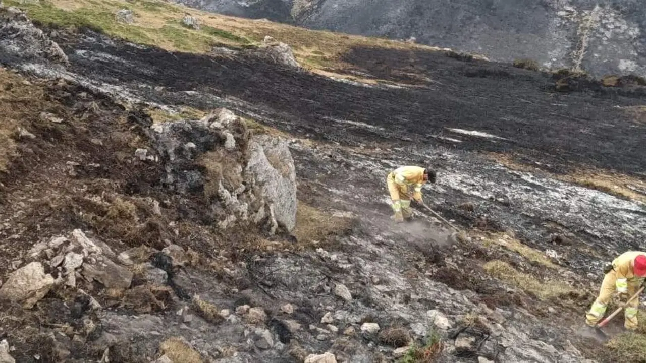 Uno de los recientes incendios forestales.
