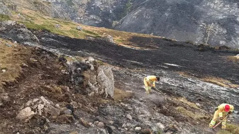 Bomberos forestales en el monte.