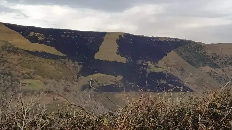 Los operativos extinguieron un incendio en Lamasón.