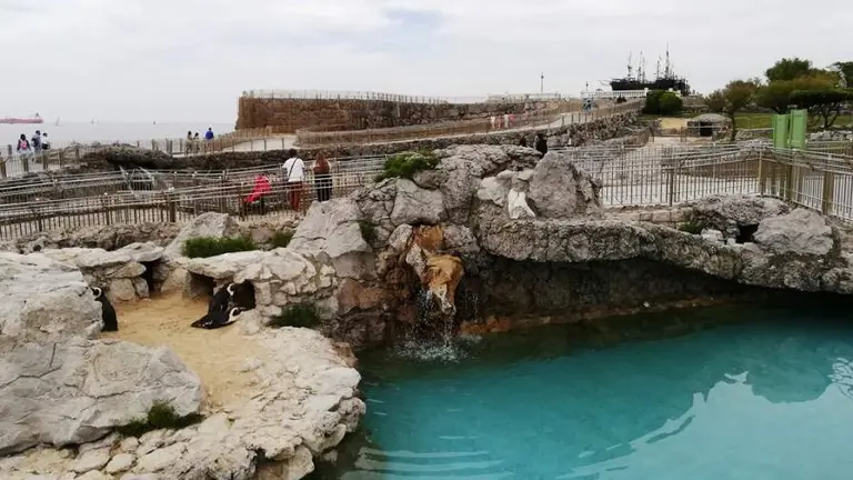 Los animales en el mini zoo de la Magdalena, en Santander. R.A.