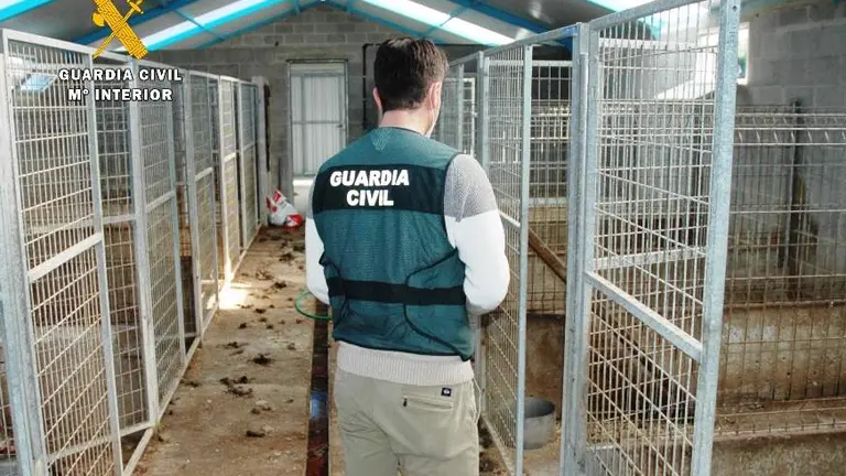 Las jaulas que dividen la nave en Tagle, en Suances.
