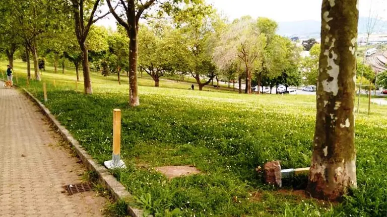 Santander parque Vaca 2