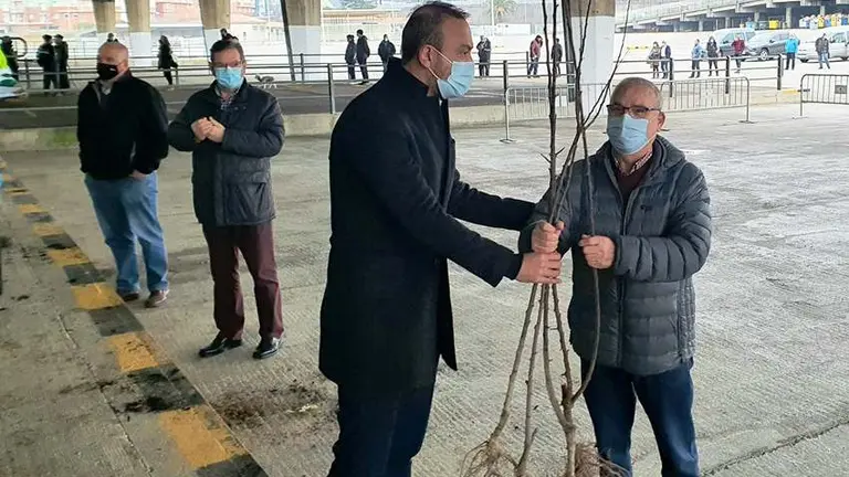 Campaña de entrega de árboles para reforestar en Torrelavega.