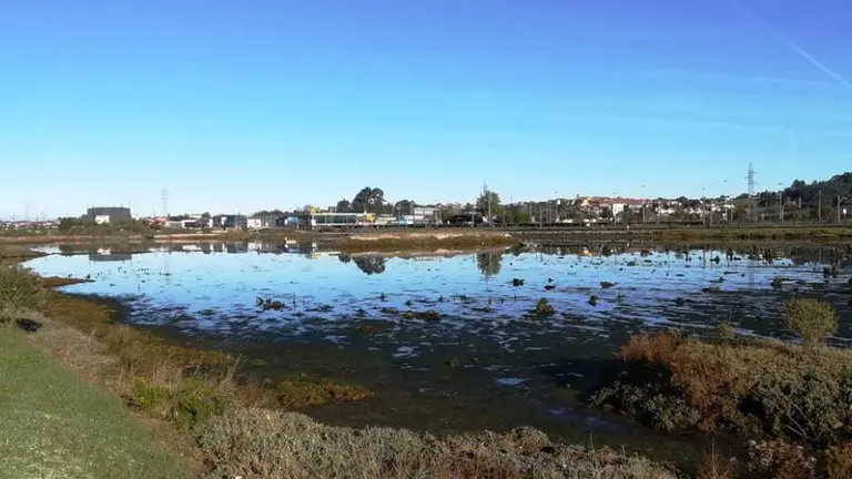 Los talleres tratar&aacute;n temas medioambientales en El Astillero. R.A.