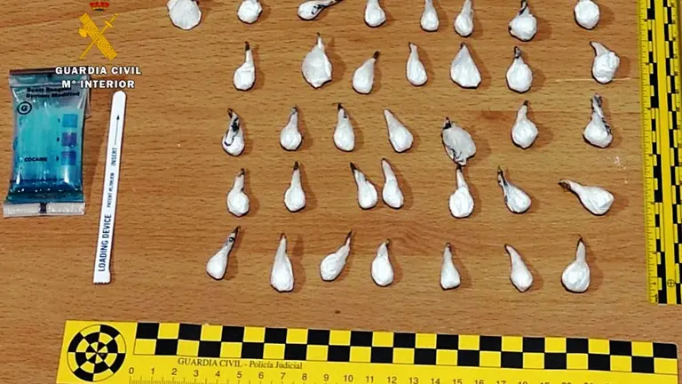 Droga incautada por la Guardia Civil en Sar&oacute;n.