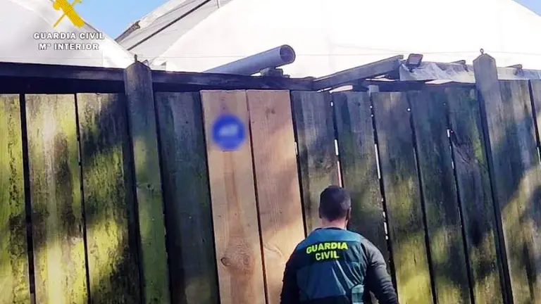 Los agentes de la Guardia Civil en los invernaderos.