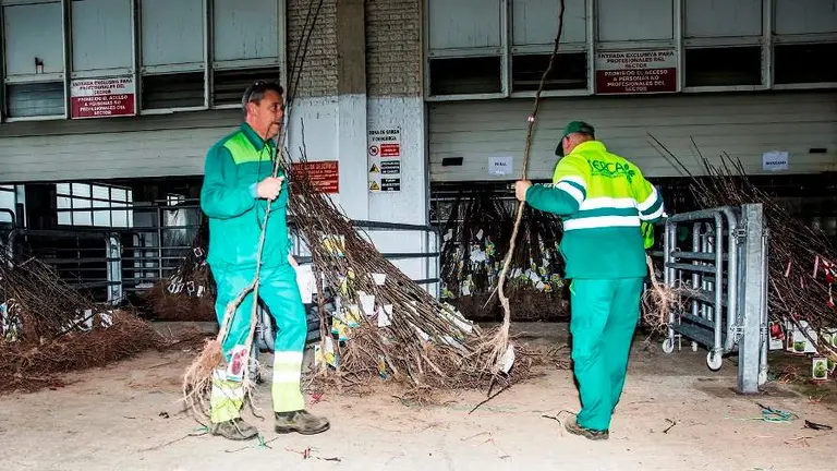 Está destinada a jardinería