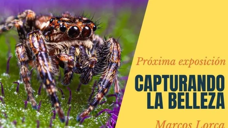 Cartel de la muestra de fotograf&iacute;as en Espacio Joven, en Santander.