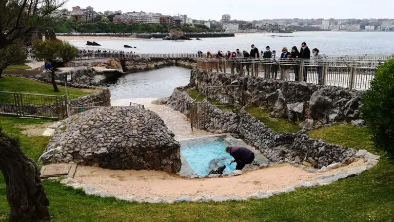 Minizoo en el Palacio de Magdalena, en Santander. R.A.