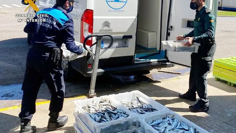 Pesca intervenida mientras se descargaba en Santander.