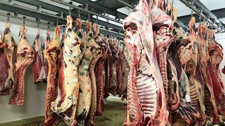 Matadero municipal de Torrelavega.