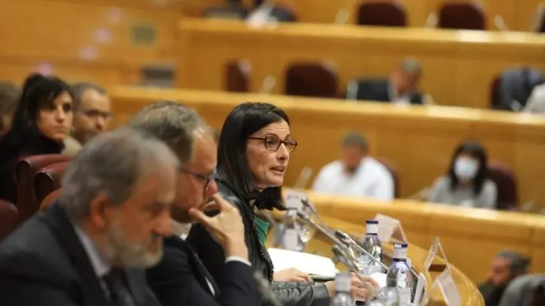 la alcaldesa de Santander, Gema Igual (PP), intervino en el Senado.