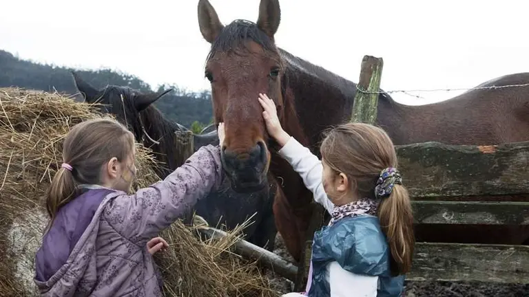 Camargo organiza actividades en la naturaleza.