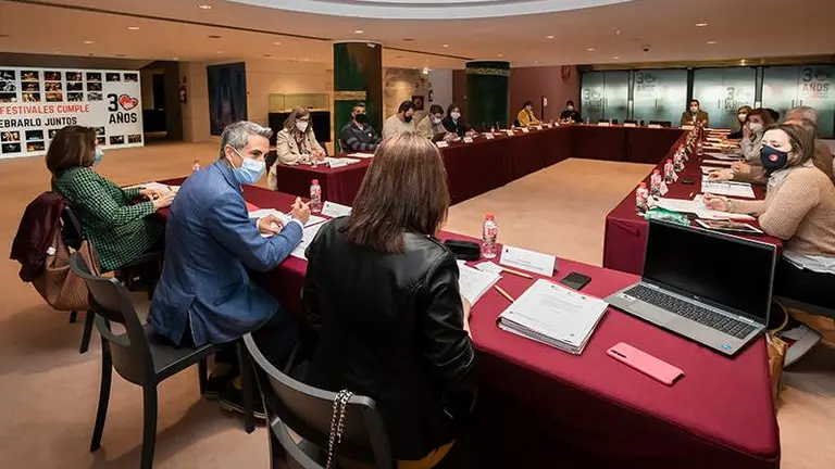 Un momento de la reunión del Consejo Cántabro de Cooperación Internacional al Desarrollo.