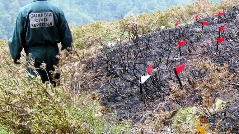 Los agentes de la Guardia Civil investigan los incendios.