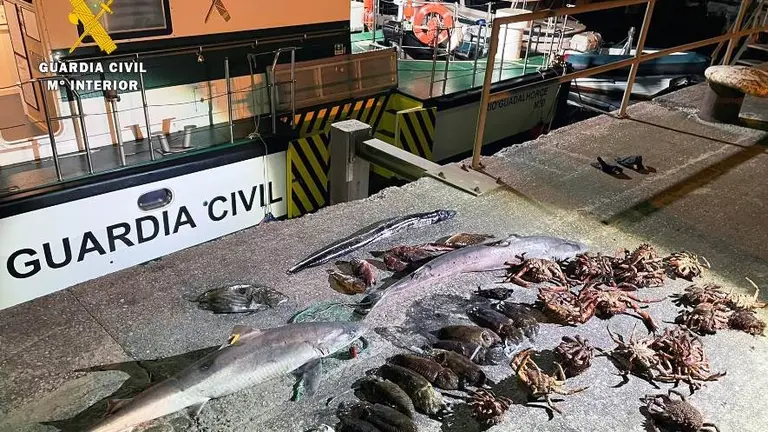 Pesca intervenida en las redes por la Guardia Civil.