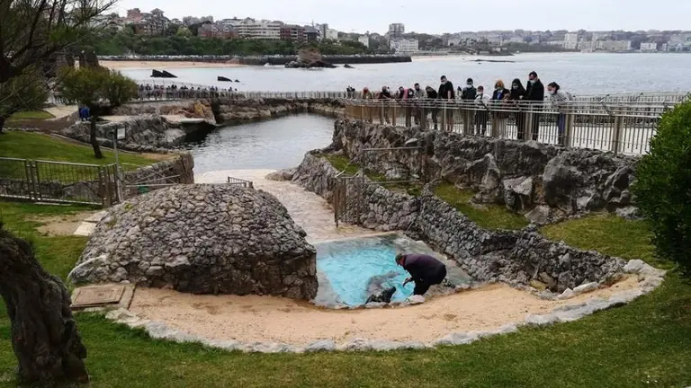 Minizoo de La Magdalena, en Santander. R.A.
