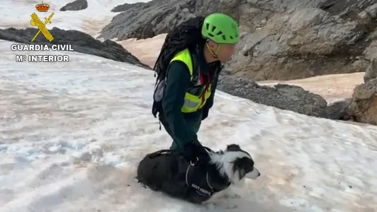 Los agentes rescataron al perro en la zona de Camaleño.