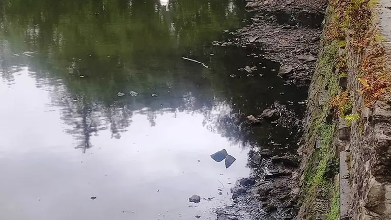 Estanque de La Cant&aacute;brica, en El Astillero.