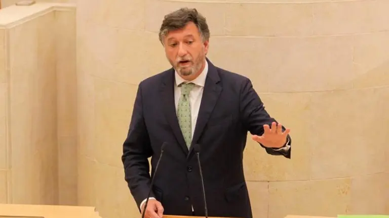 El portavoz parlamentario de Vox, Cristobal Palacio.