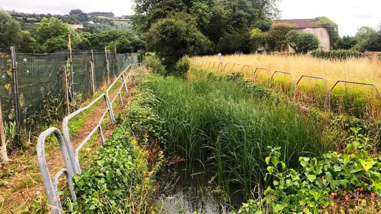 Cauces con vegetaci&oacute;n en Laredo.