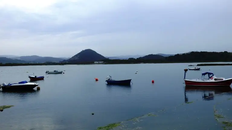 Marismas de Santoña. R.A.