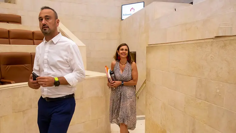 La consejera de presidencia, Paula Fernández, en el Parlamento.no