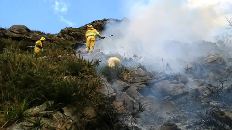 Extinción de incendios forestales provocados.