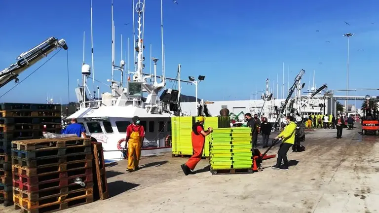 Puerto pesquero de Santoña. R.A.