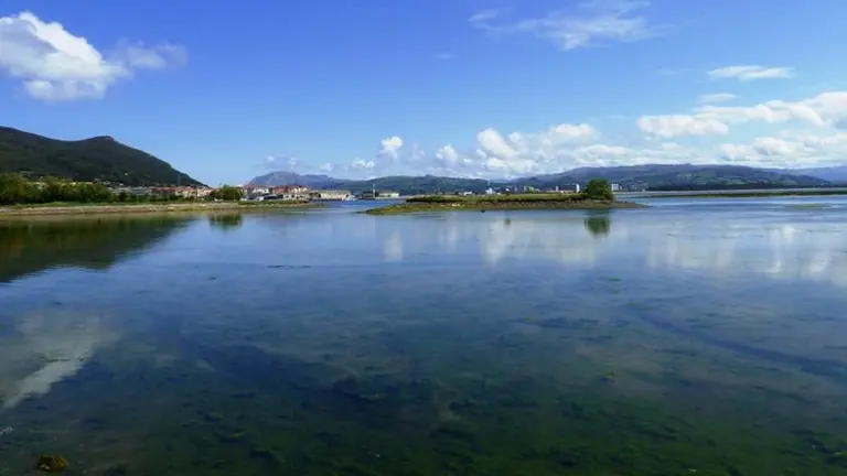 Marismas de Santoña. R.A.