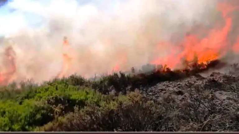 Cantabria vuelve a sufrir los incendios intencionados