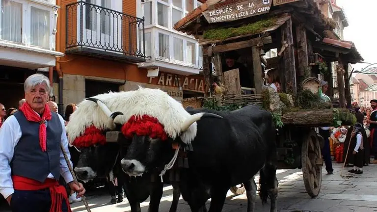 Carreta ganadora en el D&iacute;a de Campoo en Reinosa.