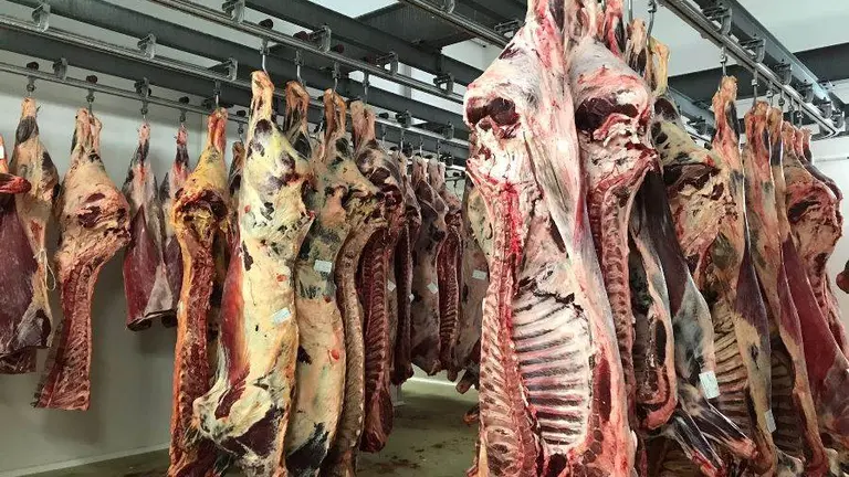 Matadero Municipal de Torrelavega, en Barreda.