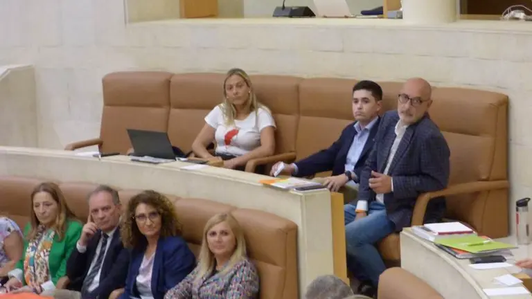 El diputado de Cs, Félix Álvarez, en el Parlamento. R.A.