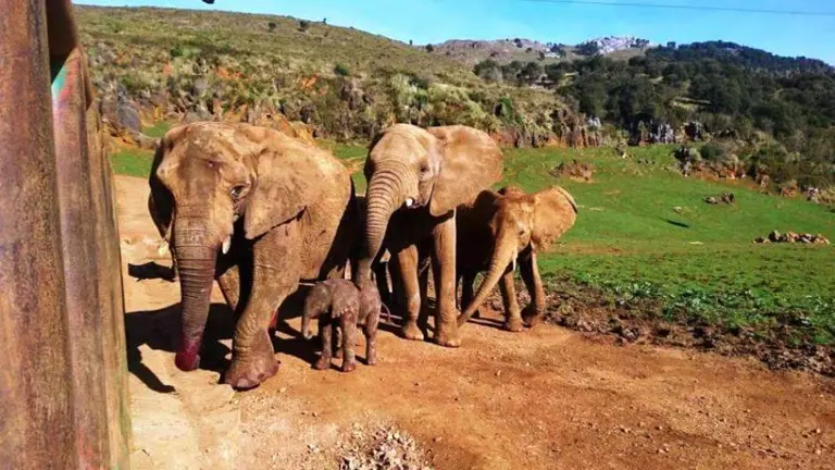 Parque de Cabárceno, de Cantur.