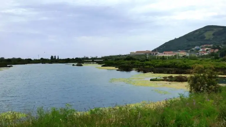 Marismas de Santoña. R.A.