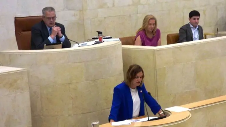 La diputada del PRC, Ana Obregón. R.A.