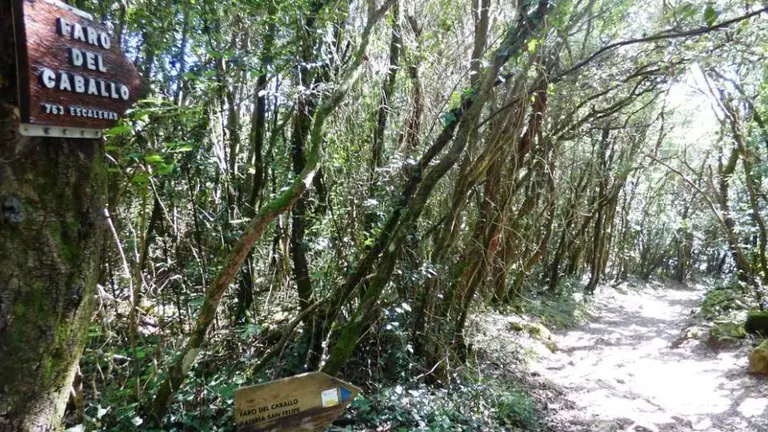 Sendero hacia el Faro del caballo en el Monte Buciero. R.A.