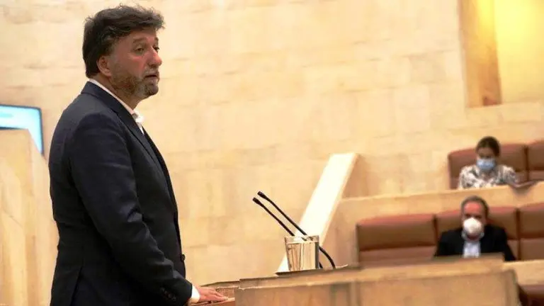 El portavoz de Vox, Cristóbal Palacio, en el Pleno del Parlamento.