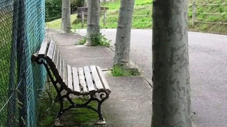 Subida al cementerio municipal del Astillero.