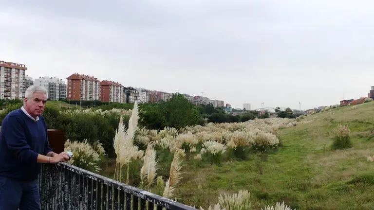 El portavoz del PRC en Santander, Jos&eacute; Mar&iacute;a Fuentes-Pila junto a una zona de plumeros.