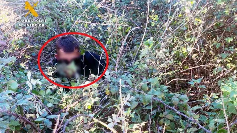 El detenido entre las zarzas.