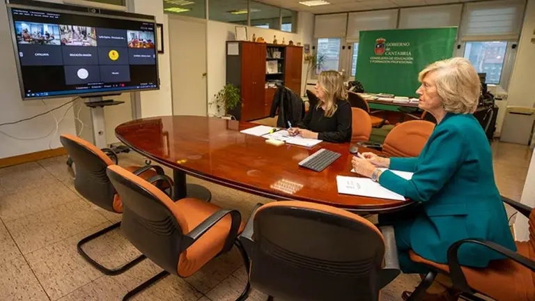 La consejera Marina Lomb&oacute; en la videoconferencia sectorial.
