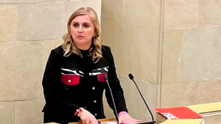 La diputada regional, Noelia Cobo (PSOE).