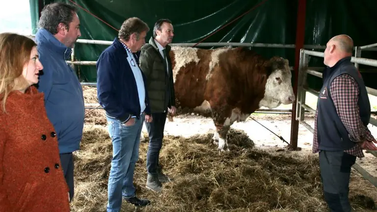 Visita a la ganadería en Penagos.